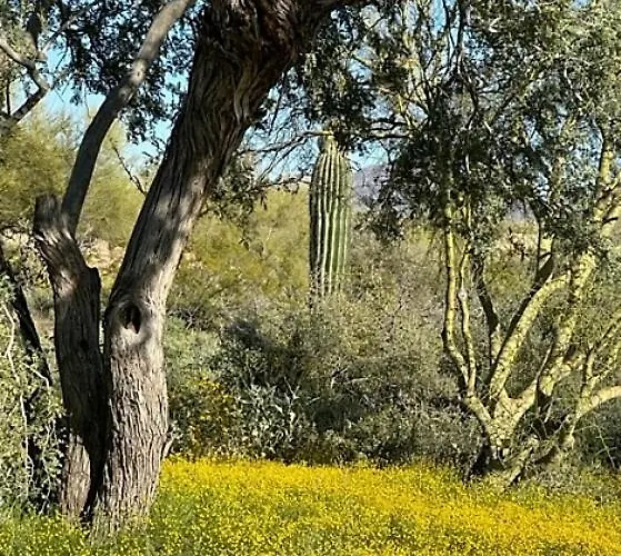 Sonoran Sunsets, A 3-suite Retreat *