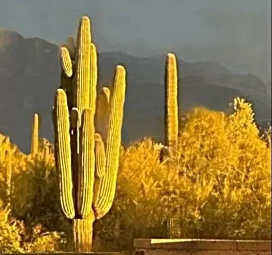 Hébergement de vacances Sonoran Sunsets, A 3-suite Retreat Scottsdale