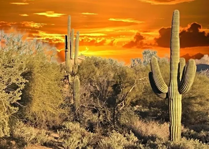 Sonoran Sunsets, A 3-suite Retreat Hébergement de vacances *